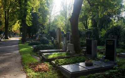 Komentované procházky v říjnu 2025