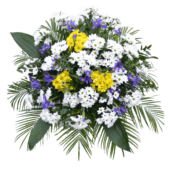 Chryzantéma, iris