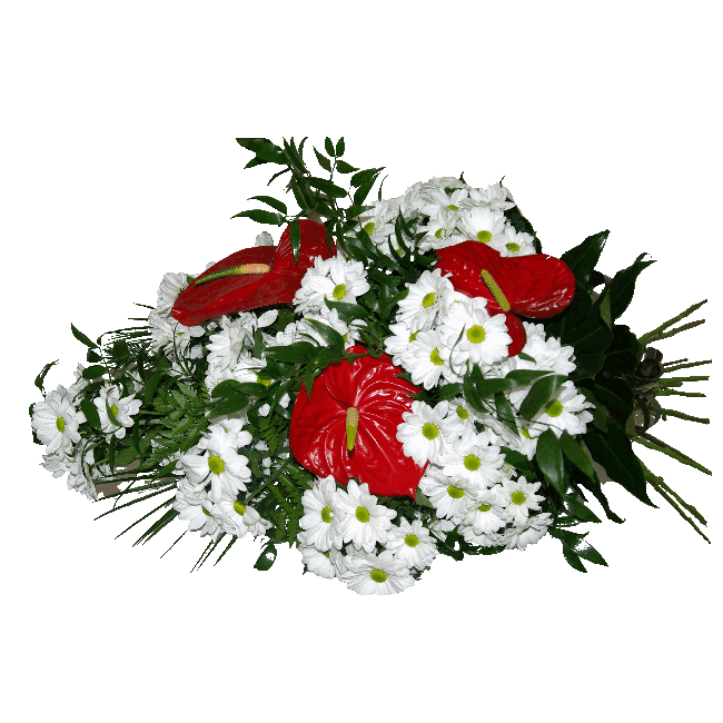 Chryzantéma, anthurium