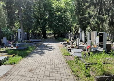 Krčský (Nuselský) hřbitov