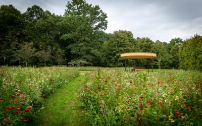 Komentované procházky v červenci 2024