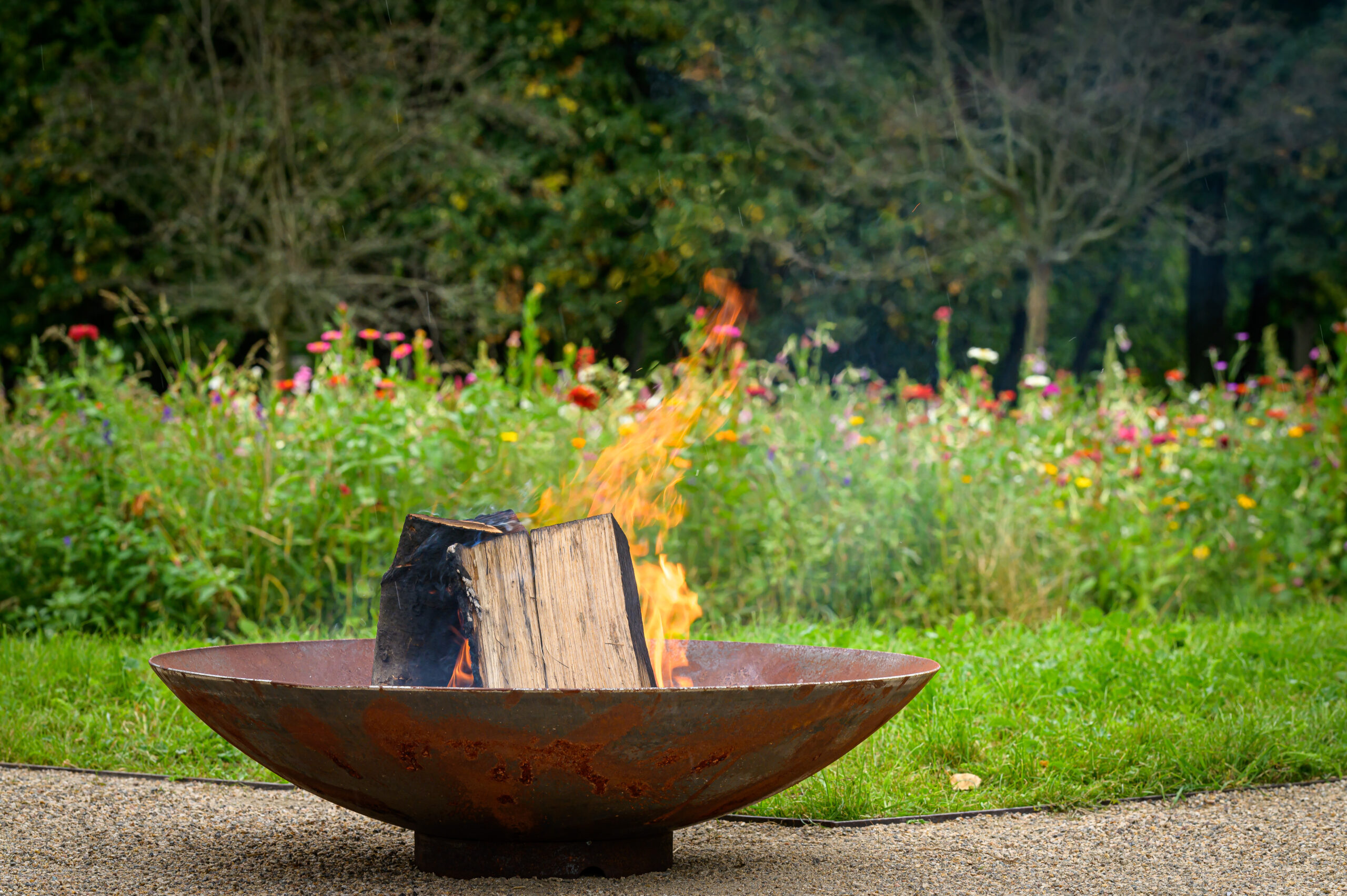 Jaro, nejlepší čas na vycházky pro školní skupiny