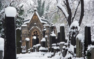 Komentované vycházky v únoru 2025