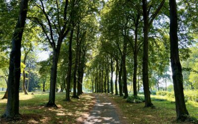 Komentované procházky v březnu 2025