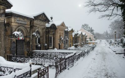 Komentované procházky v únoru 2025