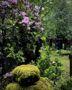 Den Země: Hřbitovy – zelené oázy ve městě