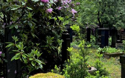 Den Země: Hřbitovy – zelené oázy ve městě