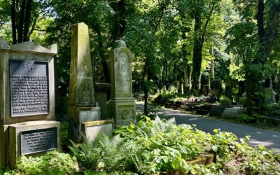 Den Země: Hřbitovy – zelené oázy ve městě