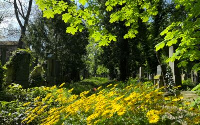 Komentované procházky v květnu 2024