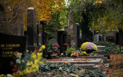 Komentované procházky v listopadu 2025