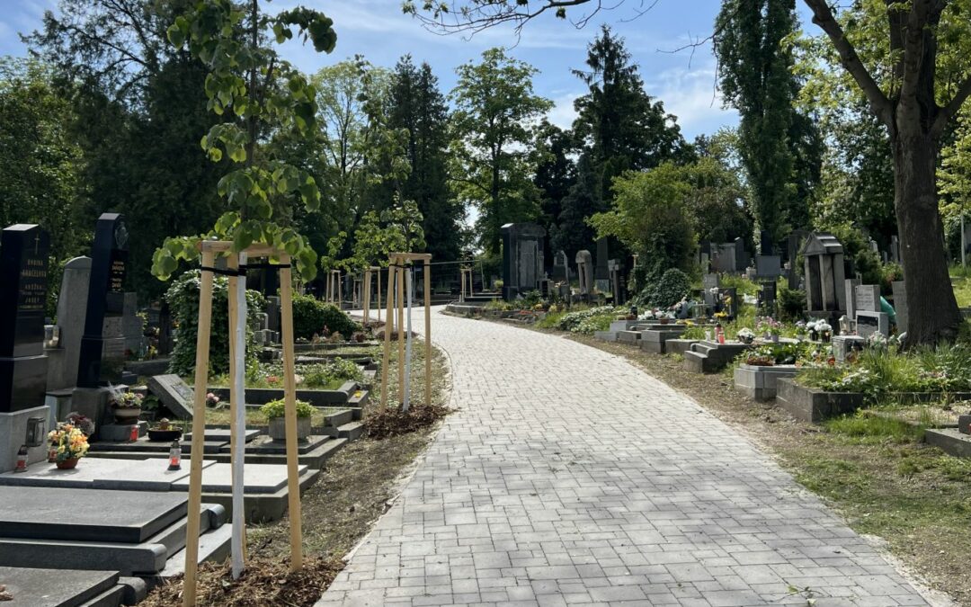 Revitalizace cestní sítě na hřbitově Vršovice dokončena