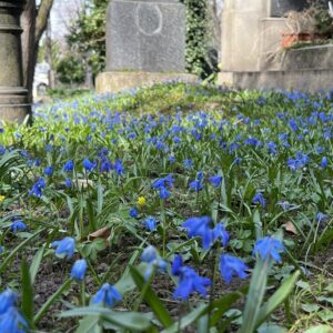 O kenotafech a česneku