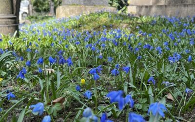 O kenotafech a česneku